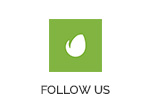 Shoom | Multipurpose Creative WordPress Theme for Multipurpose - 1
