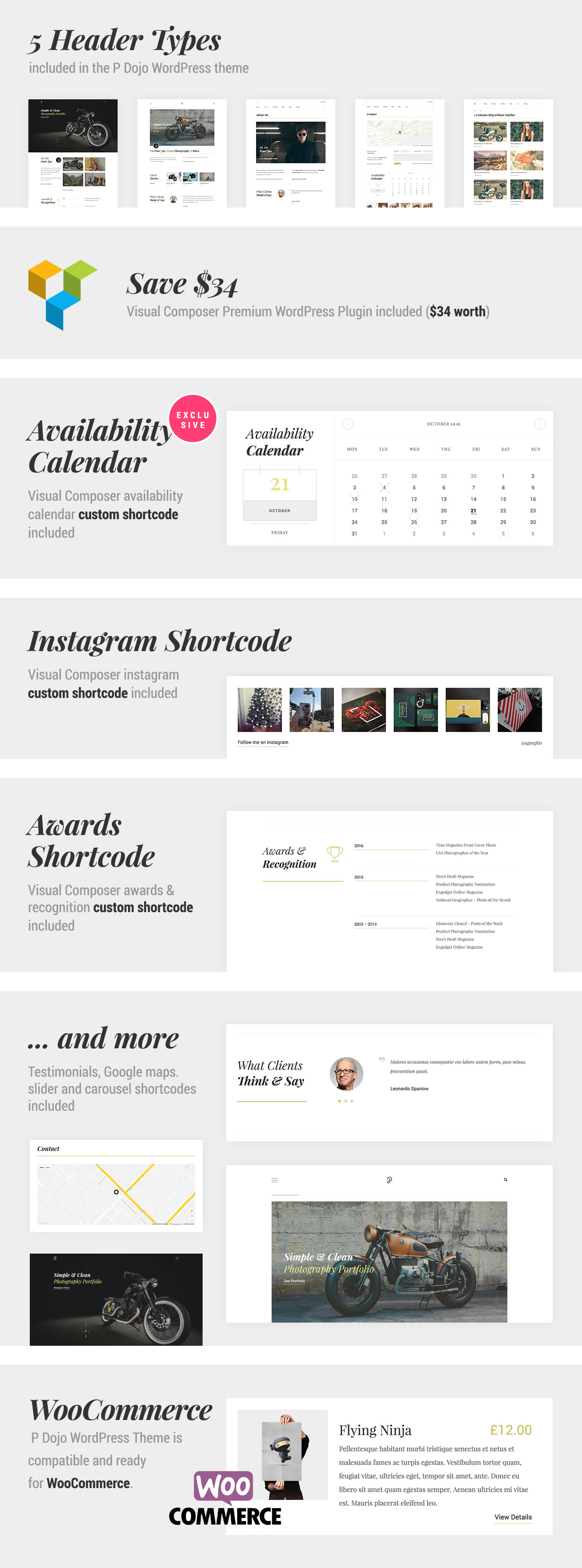 P Dojo - Photography and Portfolio WordPress Theme - 2