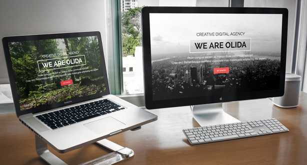 Olida - Creative Parallax One Page WP Theme - 1