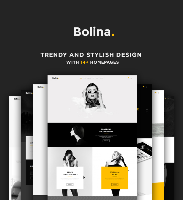 Trendy Stylist WordPress Theme