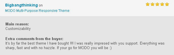 MODO  Multi-Purpose Responsive Theme - 6
