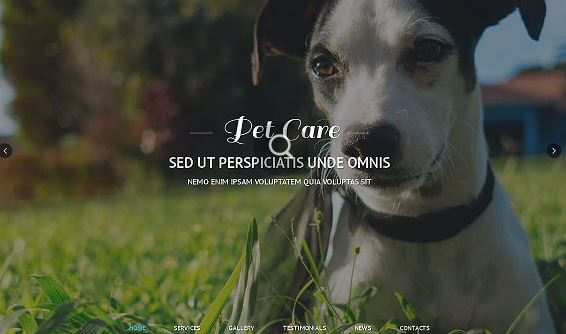 Pet Care Responsive One Page Theme