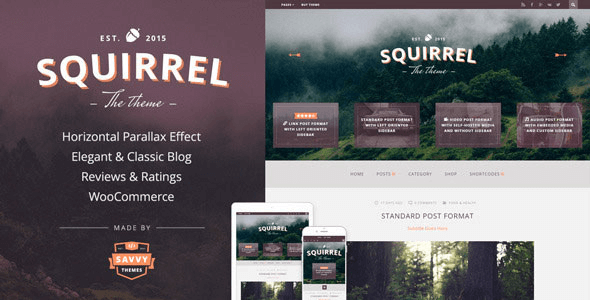 Squirrel - A Responsive WordPress Blog Theme