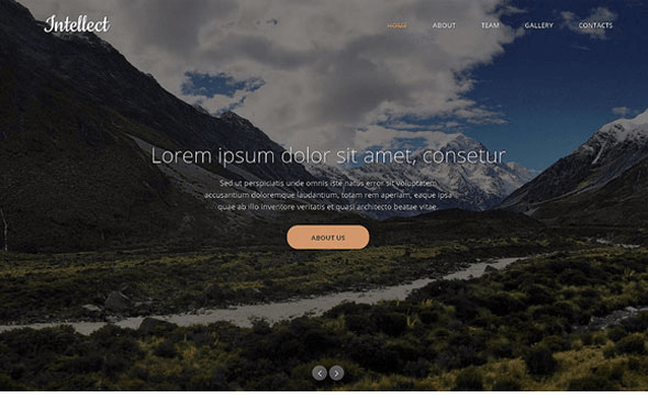 Intellect - Creativemarket Responsive One Page Theme