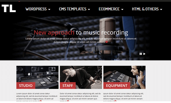 Recording Studio - Templatemonster Responsive Website Template