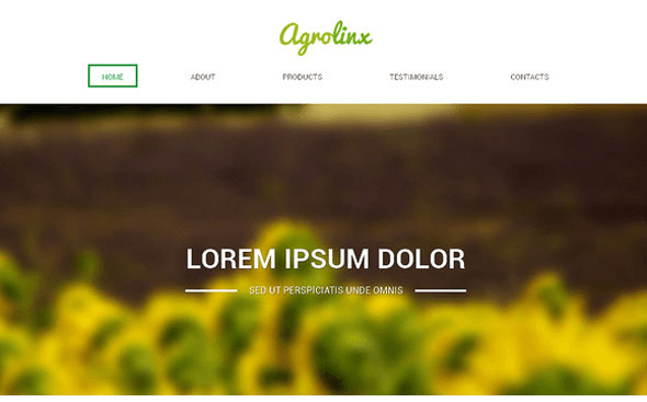 Agrolinx - Creativemarket Responsive One Page Theme