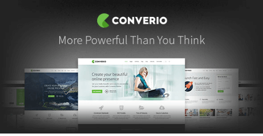 Converio - Responsive Multi-Purpose WordPress Theme
