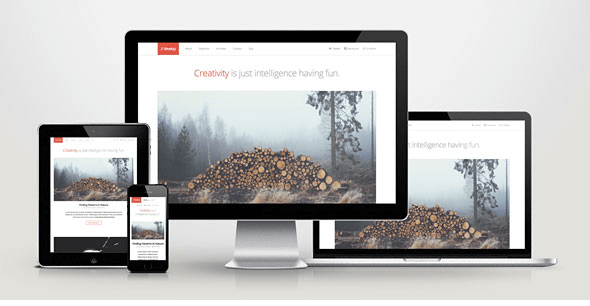 Develop - Responsive WordPress HTML5/CSS3 Theme
