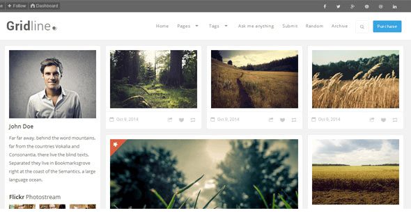 GridLine - Responsive Tumblr Grid Theme