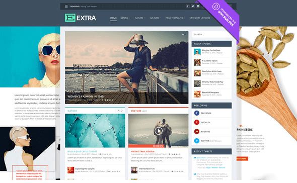 Extra v2.0.36 - Elegantthemes Premium Wordpress Theme