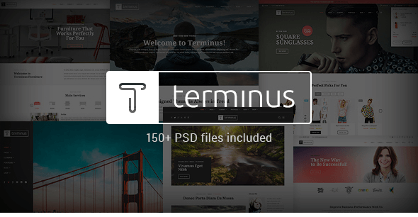 Terminus - Multi-Purpose PSD Template