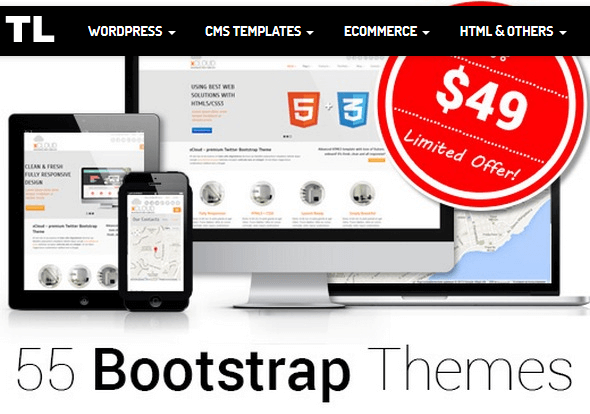 DXThemes - 55 Responsive HTML5 Templates with a Commercial License