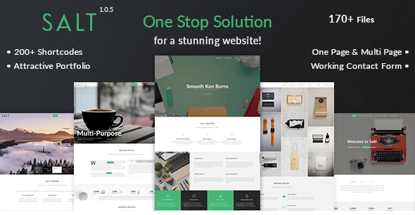 Salt v1.0.5 - Multi-purpose HTML5 Template