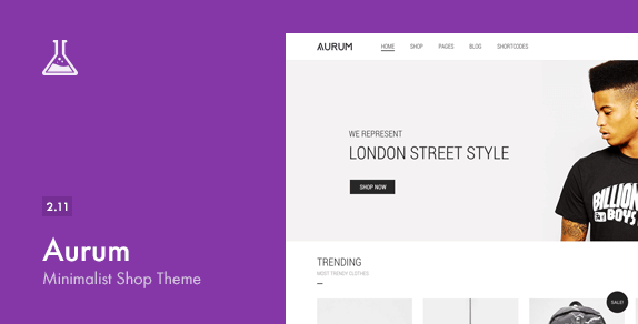 Aurum - Themeforest Minimalist Shopping Theme