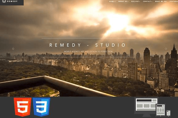 Remedy One/Multi Page HTML Template