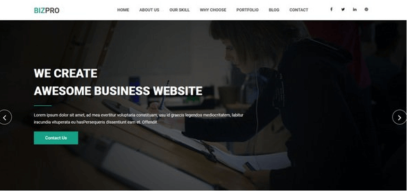 Bizpro v1.1 - OnePage HTML Business Template