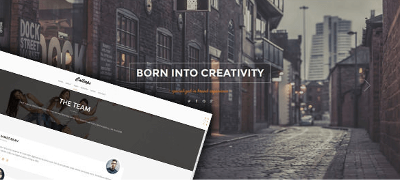 Calliope v1.0.8 - Portfolio & Agency WordPress Theme