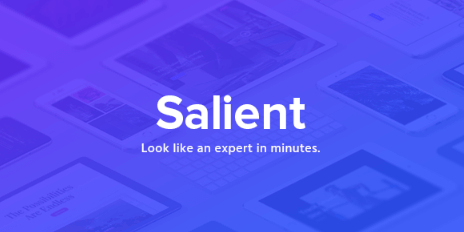 Salient v9.0 - Responsive Multi-Purpose Theme