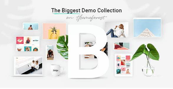 Bridge v17.0 - Creative Multi-Purpose WordPress Theme