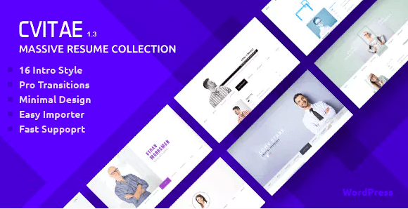 CVitae - Premium Responsive WordPress Resume