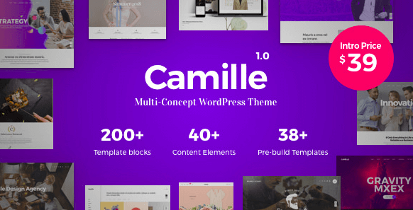 Camille v1.0.3 - Multi-Concept WordPress Theme