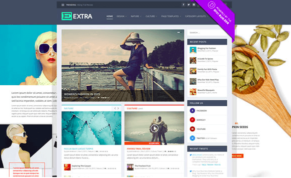 Extra v2.19 - Elegantthemes Premium Wordpress Theme