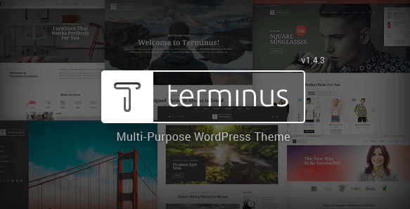 Terminus v1.4.2 - Responsive Multi-Purpose WordPress Theme