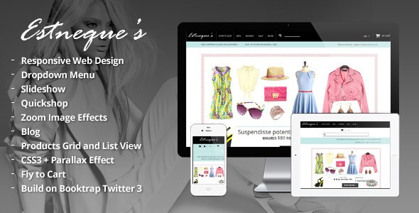 Responsive HTML Theme - Estneque