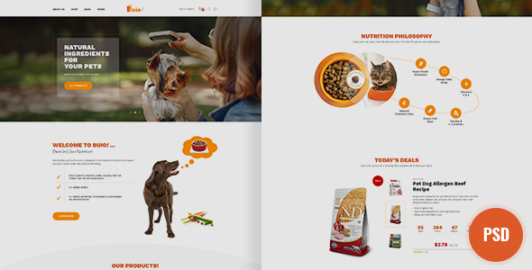 Buio Psd Template