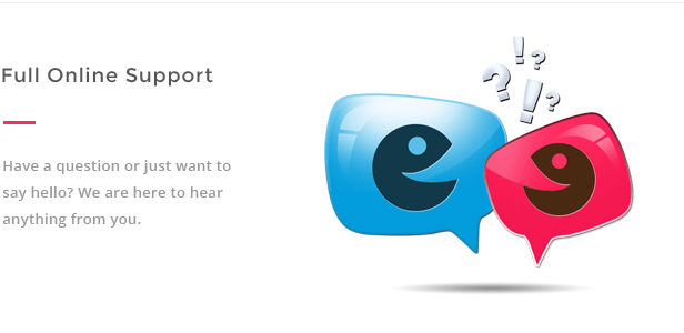 Online support