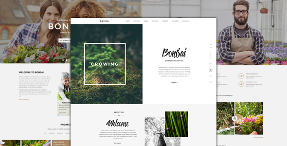 Bonsai - Responsive HTML template for landscapers and gardeners