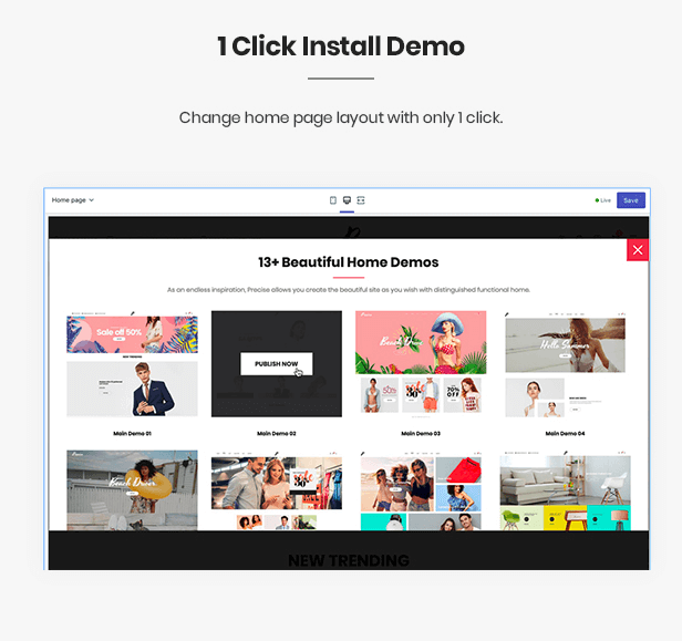 Shopify theme