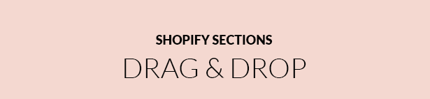 Shopify Modez Sections