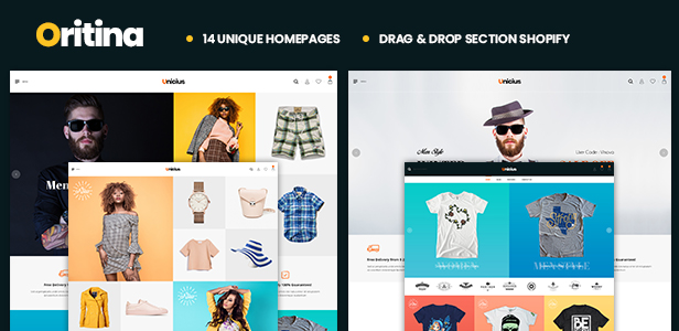 shopify theme