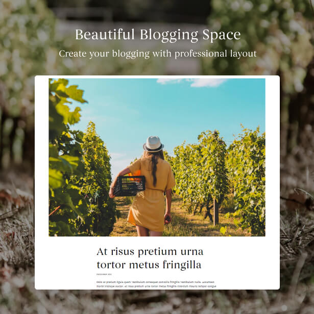 Beautiful blog space