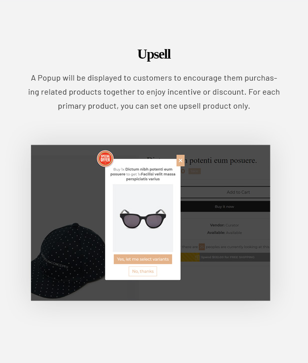 Ap Curator - A smart and stylish eCommerce Shopify kit