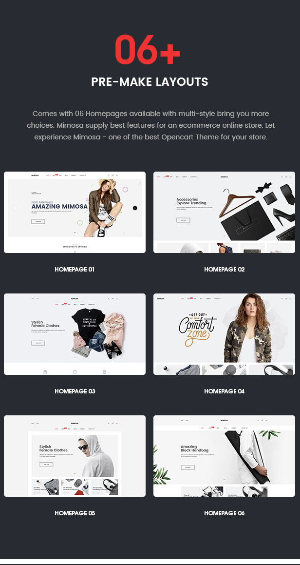 Shopify fashion theme