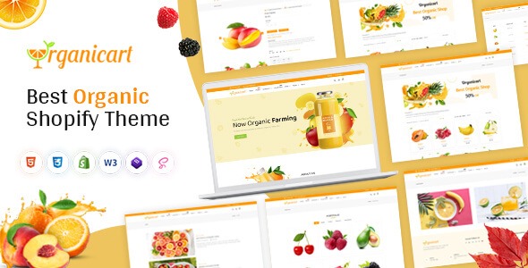 Organickart - Responsive Shopify Theme OS 2.0