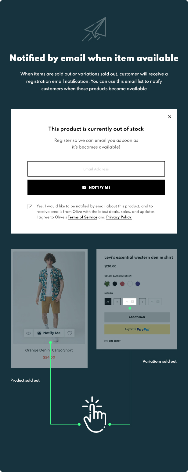shopify theme