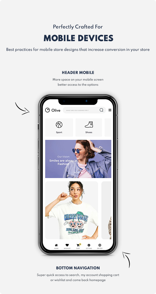 shopify theme