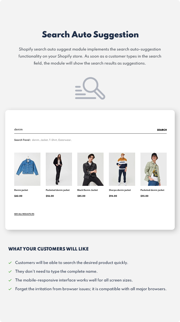 shopify theme