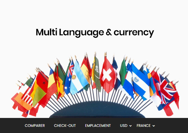 best shopify themeforest - multiple languages ​​and many currencies