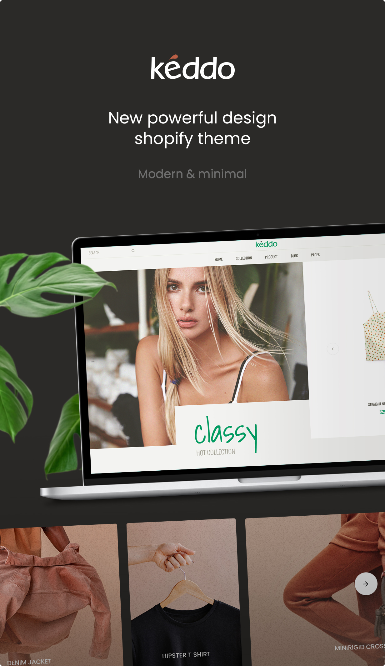 Keddo - Clean and Modern Premium Shopify Theme - 3