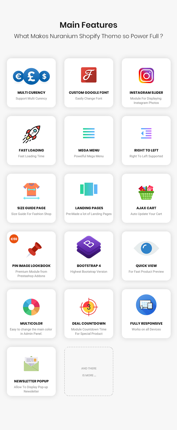 shopify theme