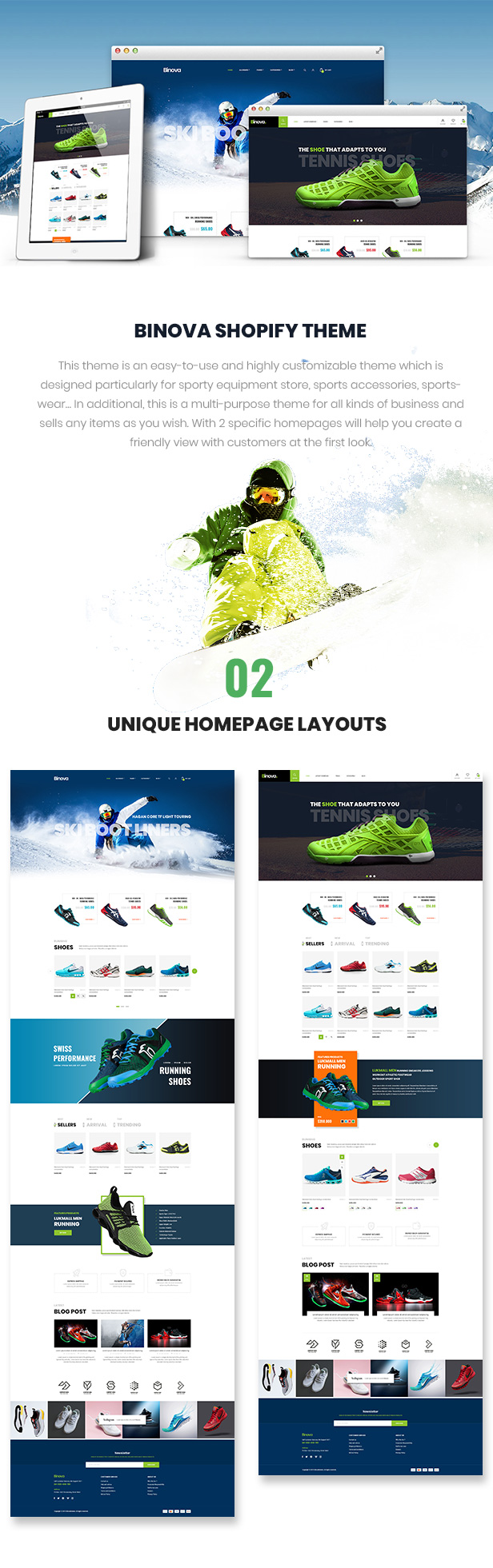 shopify theme