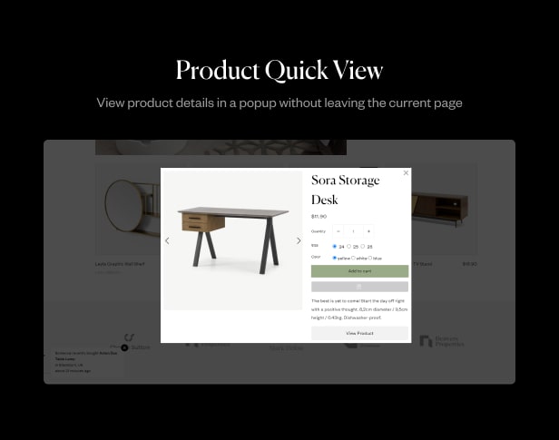 Quick view of the product
