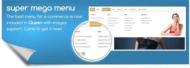 Features of QueenShop