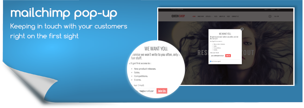 Features of QueenShop