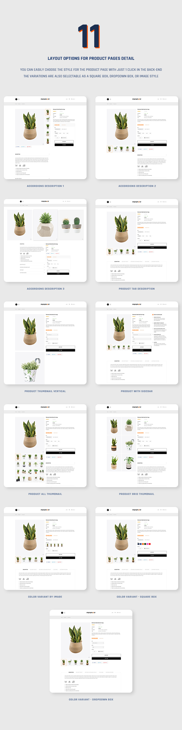 shopify theme