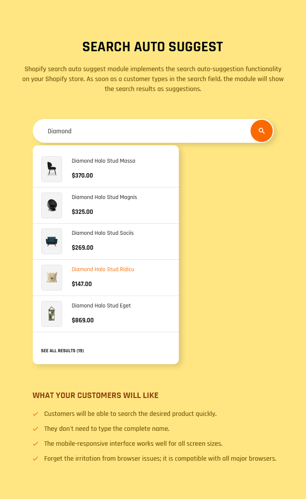 shopify theme